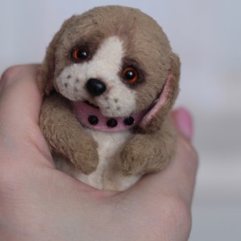 Тедди Биглюша