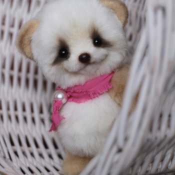 Мишаня Карамелька