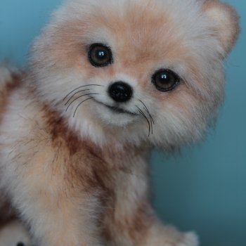 Игрушка Шпиц