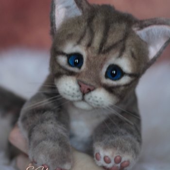 Весенний котенок