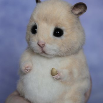 Хомячок Пончик