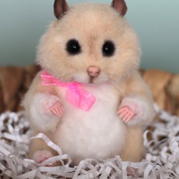 Хомячок Джилл