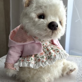 Мишутка Мила