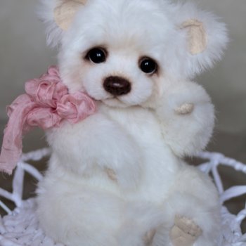 Мишка Баунти