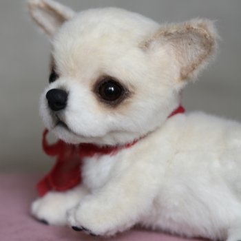 Чишка на ладошке