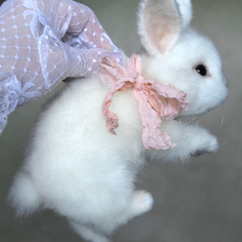 Крольчонок