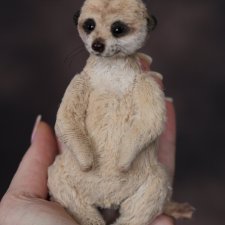 Сурикат тедди