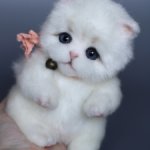 Котенок 21 см (тедди тело)