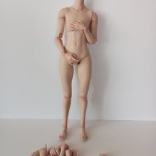 Реалистичное тело Worldbox 1/6 AT203 white