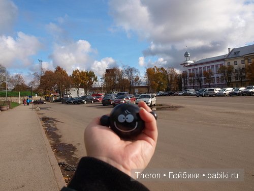 Путешествия Чучика - поездка в Нарву