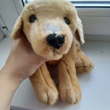 Помогите починить нос пёсику