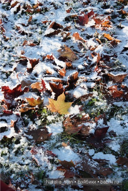 Приключение Жизели в зимнем лесу. Кукла Gotz