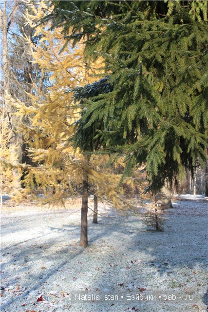 Приключение Жизели в зимнем лесу. Кукла Gotz