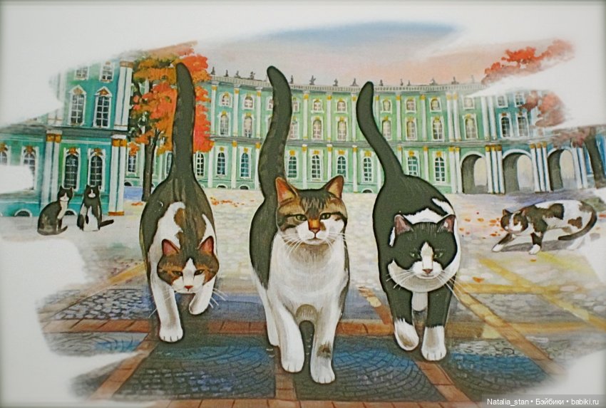 Питерские коты — Интересное и необычное: фотоподборки (фото 8)