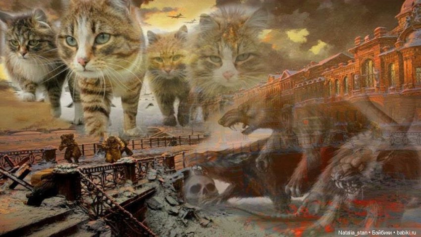 Питерские коты — Интересное и необычное: фотоподборки (фото 2)