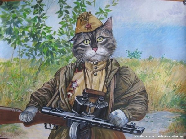 Питерские коты — Интересное и необычное: фотоподборки (фото 7)