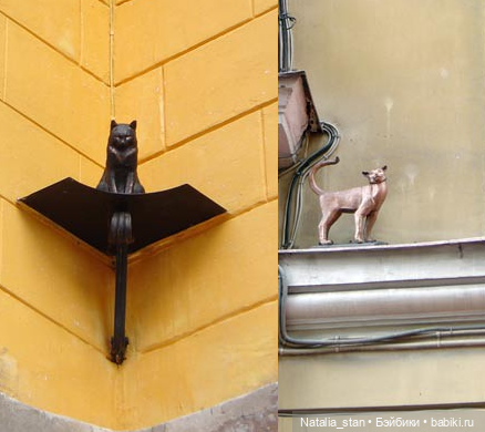 Питерские коты — Интересное и необычное: фотоподборки (фото 5)
