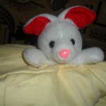 Подушка-под ушко.