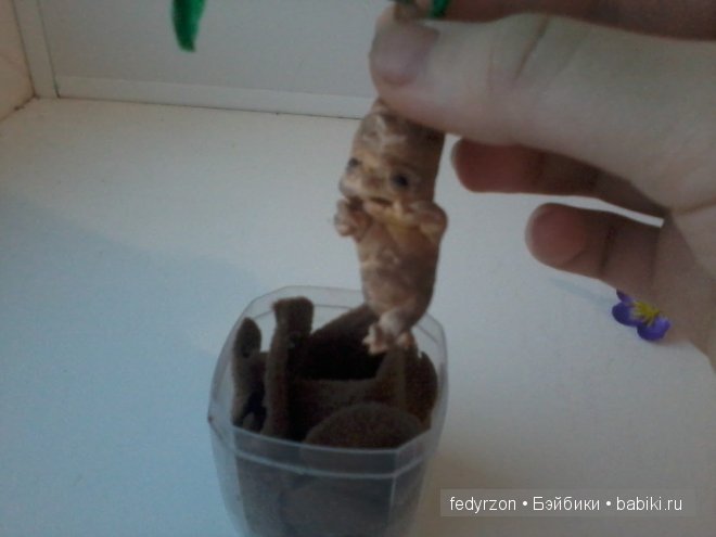 Из мира Гарри Поттера — Лепка авторских игрушек и папье (фото 9)