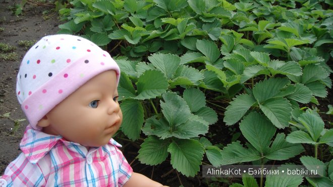 Симочка на даче побывала, много интересного узнала (фото 6)