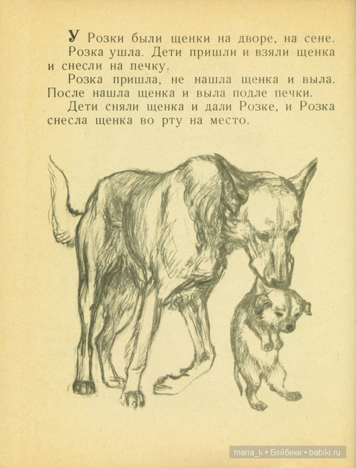 Собака розка картинки