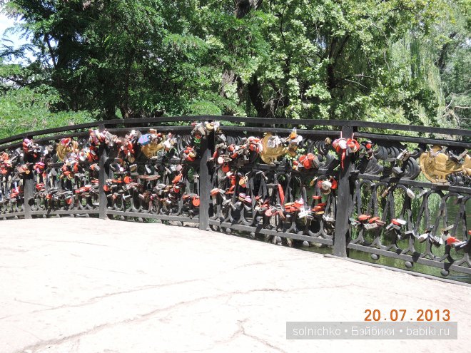 Умничка-Ливочка в Городском Парке (фото 9)