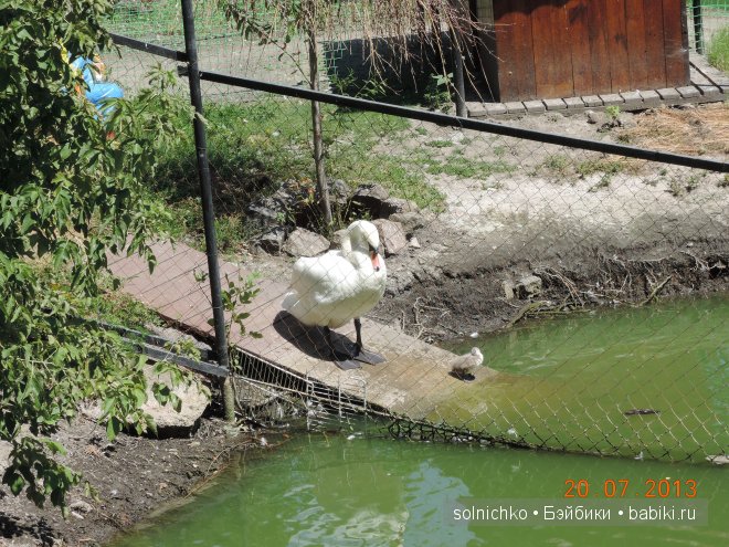 Умничка-Ливочка в Городском Парке