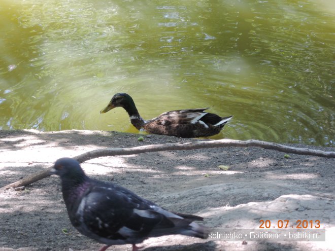 Умничка-Ливочка в Городском Парке