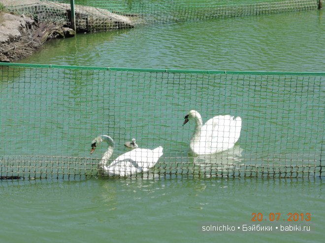 Умничка-Ливочка в Городском Парке