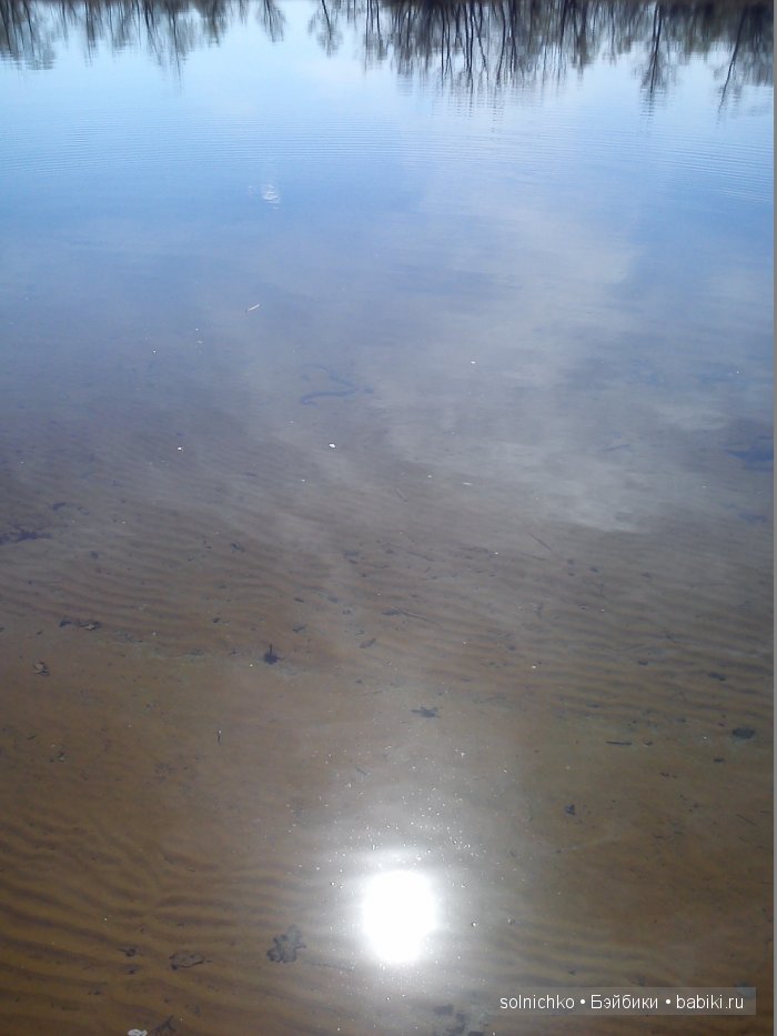 А к нам на дачу забежал носорог :-) | Бэйбики А к нам на дачу забежал носорог :-) (фото 5)