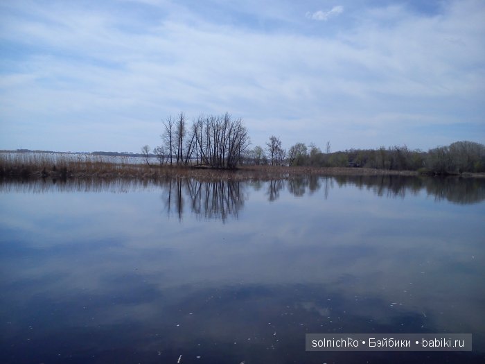 А к нам на дачу забежал носорог :-) | Бэйбики А к нам на дачу забежал носорог :-) (фото 6)