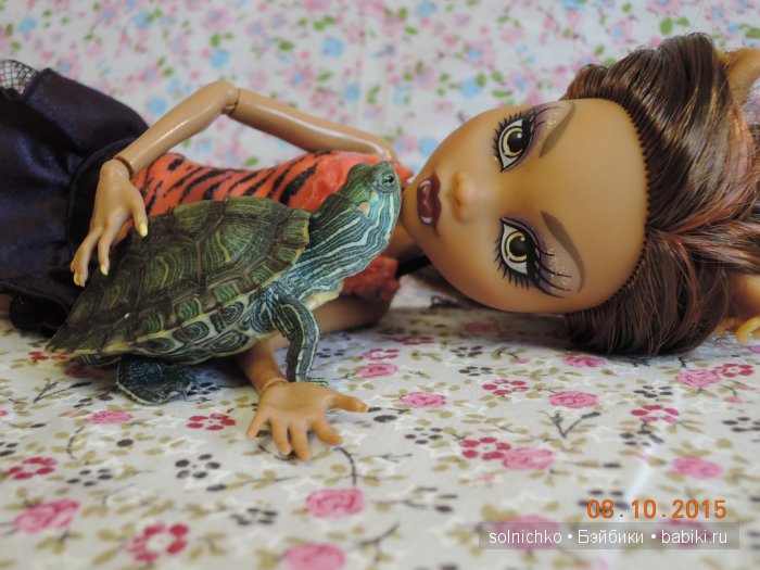 Как мы с Шустриком тоже не успели на конкурс... Или мучение черепашки длинною в час (фото 2)
