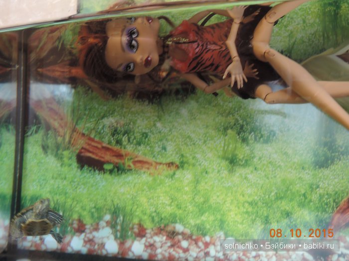 Как мы с Шустриком тоже не успели на конкурс... Или мучение черепашки длинною в час (фото 7)