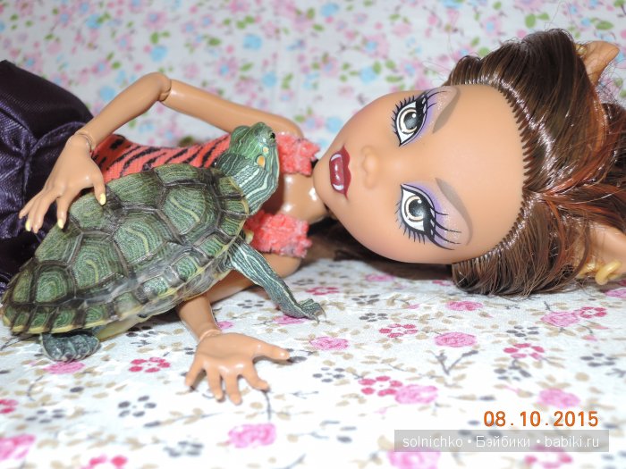 Как мы с Шустриком тоже не успели на конкурс... Или мучение черепашки длинною в час (фото 4)