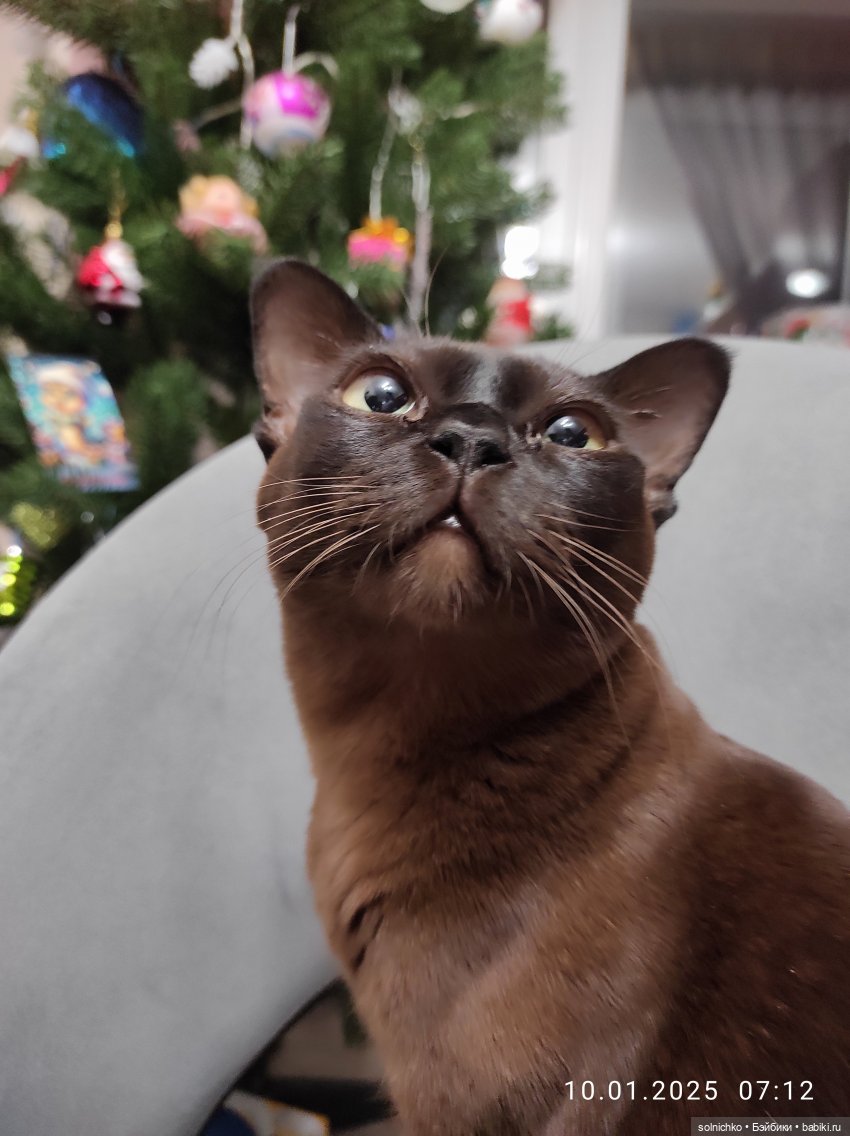 Взрослые девочки и их куколки ))) Кукловстречи Саратов