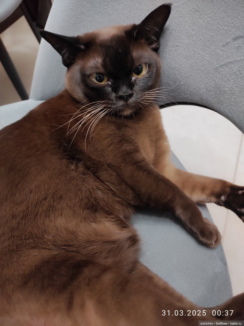 12 лет любви к куклам Мои странные и не очень куклы