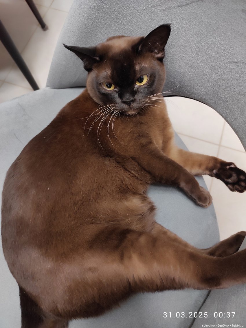 12 лет любви к куклам Мои странные и не очень куклы