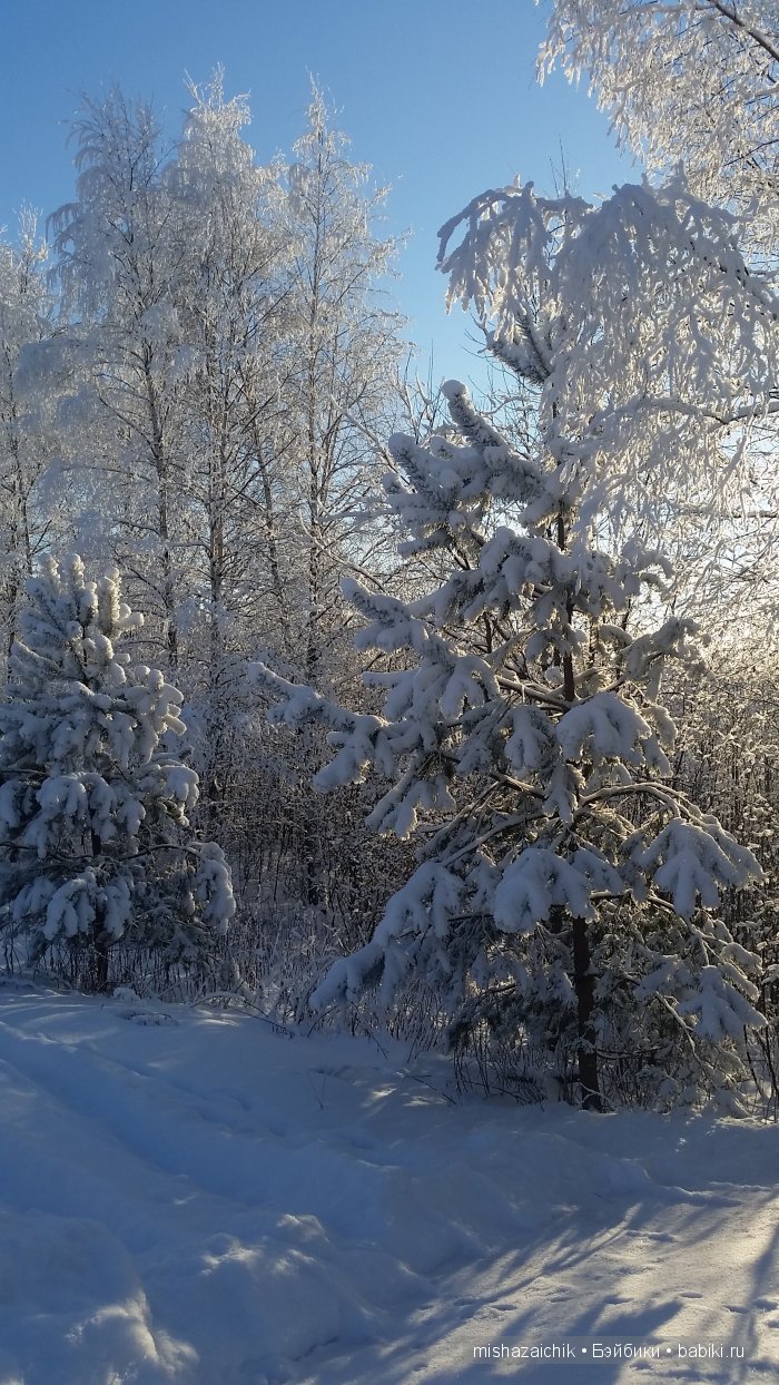 Зимняя фотосессия на фоне белого снега моих красавиц, кан-кан в лесу (фото 3)