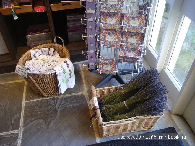 Графство Норфолк - лавандовый рай