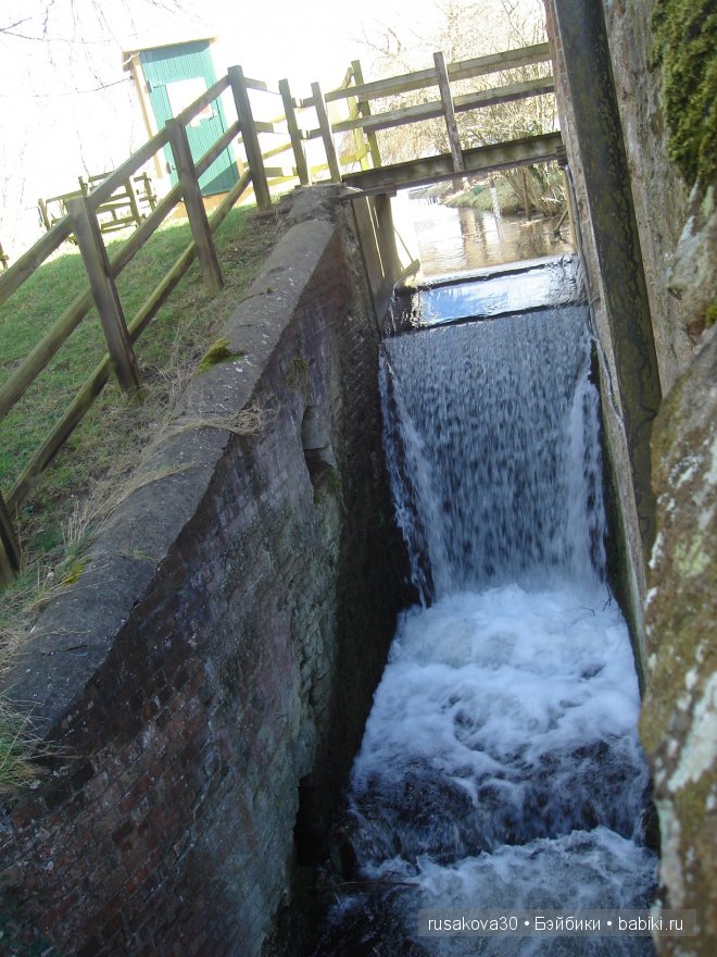 Графство Норфолк - лавандовый рай