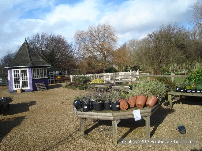 Графство Норфолк - лавандовый рай