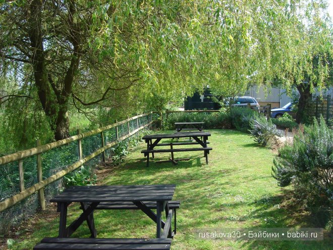 Графство Норфолк - лавандовый рай (фото 10)