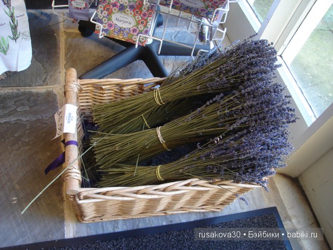 Графство Норфолк - лавандовый рай