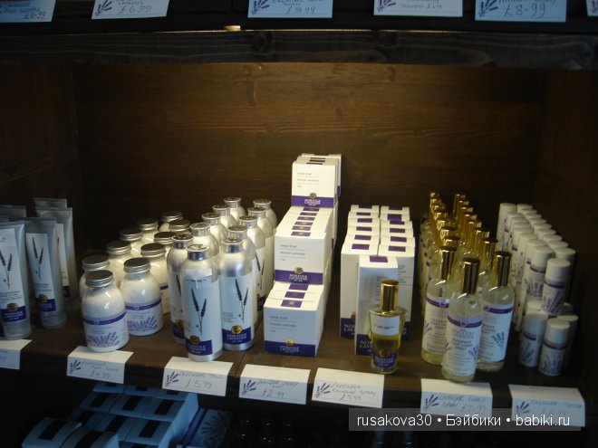 Графство Норфолк - лавандовый рай