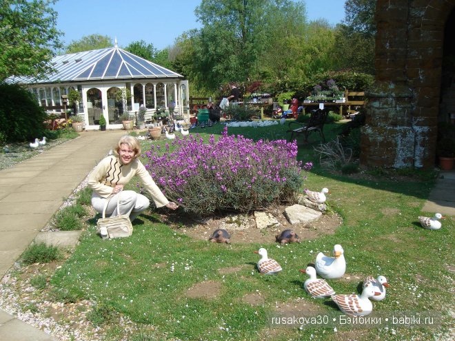 Графство Норфолк - лавандовый рай (фото 6)