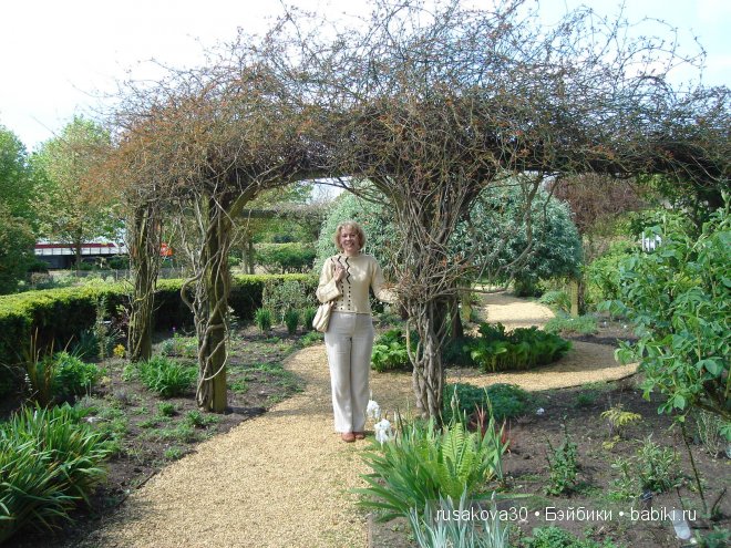 Графство Норфолк - лавандовый рай