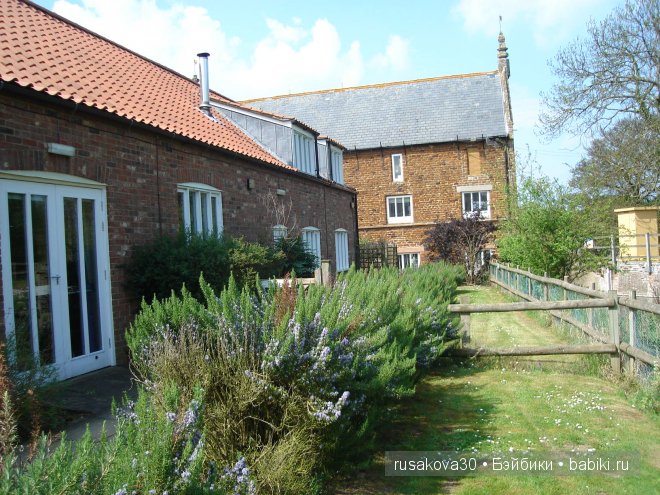 Графство Норфолк - лавандовый рай (фото 9)