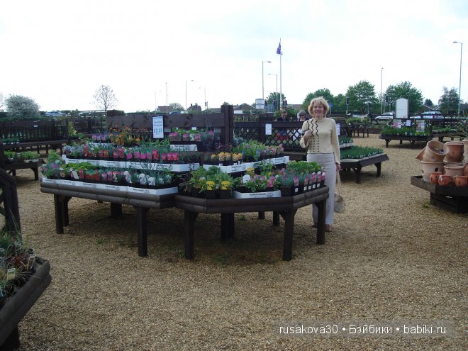 Графство Норфолк - лавандовый рай