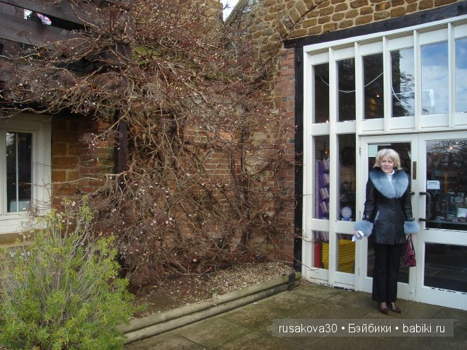 Графство Норфолк - лавандовый рай