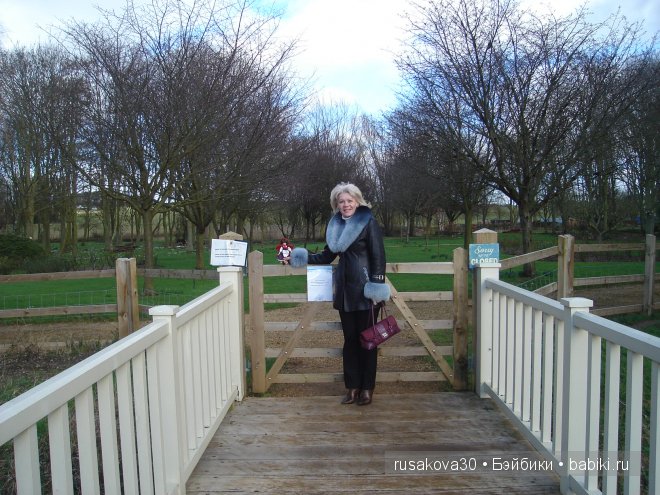 Графство Норфолк - лавандовый рай